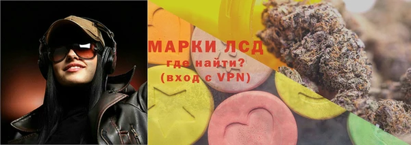спайс Баксан